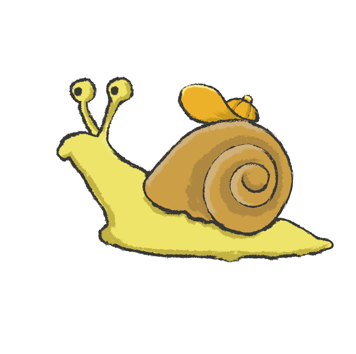 Schnecke